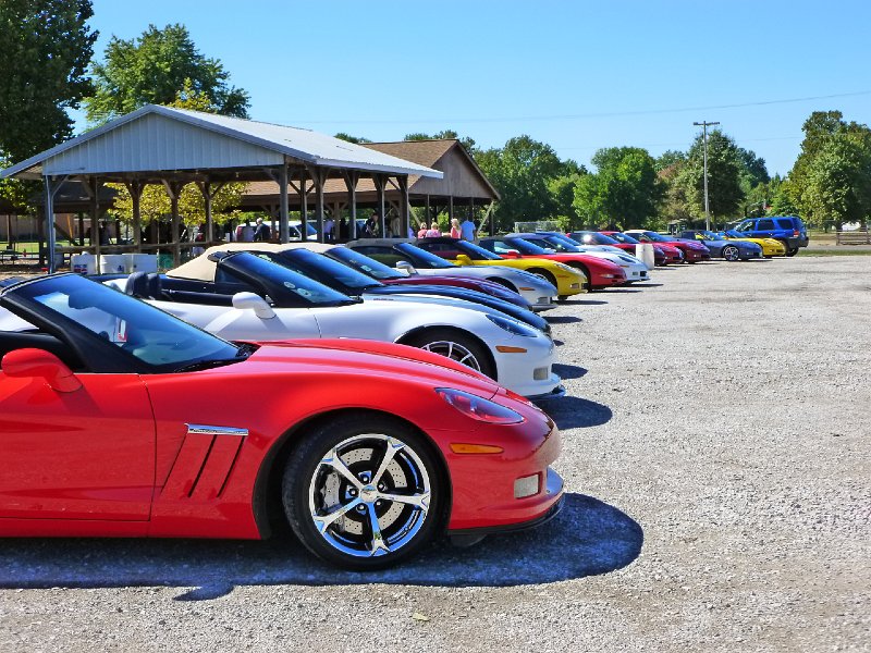 STLCC Picnic Sept 2013 005